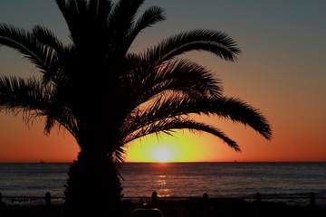 Fototapeta na wymiar Sonnenuntergang am Meer in Kapstadt mit Palmen