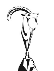 Steinbock Gipfelst&uuml;rmer