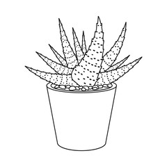 Isolated object of cactus and pot symbol. Set of cactus and cacti stock vector illustration.