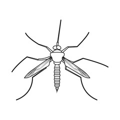 Vector design of insect and fly sign. Collection of insect and element stock symbol for web.