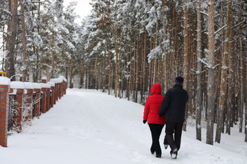 couple walking in park in winter