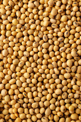 Soybean background