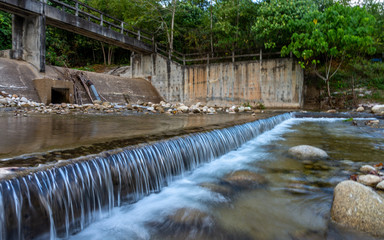 Weir in forest