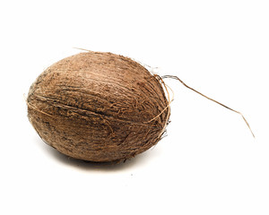 Coconut isolated on white background
