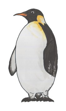  Cute cartoon penguin, watercolor illustration