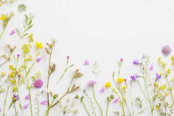 Naklejka na ściany i meble summer flowers on white paper background