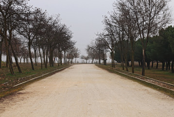 Fototapeta na wymiar dirt road in the park, in winter