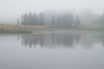 reflection of trees in the pond on a foggy autumn morning
