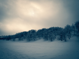 Winter sport activity. Trees covered with snow after heavy snowfall with the sun shining behind the clouds. Matese mountains, Campania, Italy
