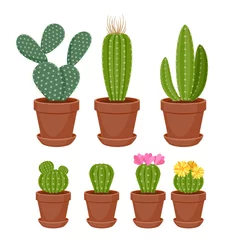 Poster Kaktus im Topf Kakteen stellen Vektorillustration ein.