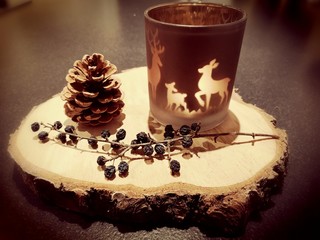 deko dekoration decoration deer Hirsch Küche wohnzimmer obst Kiefer birke holz scheibe rinde reh windlicht kerze licht warm 