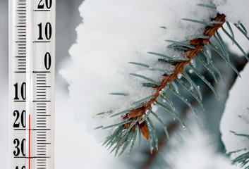 image of a thermometer and a fir branch in the snow