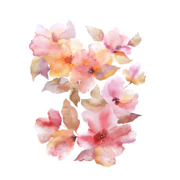 Fototapeta Floral bouquet. Sakura flowers. Floral gretting card. Watercolor flowers. Floral decor element. Cherry blossom drawing.
