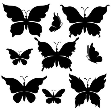 Set Butterflies, Black Silhouettes Isolated on White Background. Vector