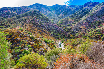 Magnificent national American natural park - Yosemite.