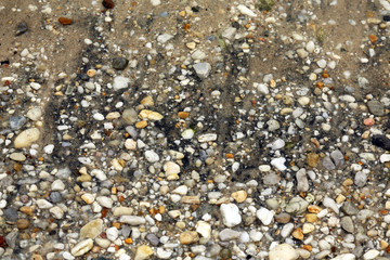 colorfu pebbles on beach, Patuxent River, Maryland, USA 