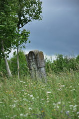   Romania. Dumitra ,mettersdorf ,  panoramic countryside from cemetery,2012