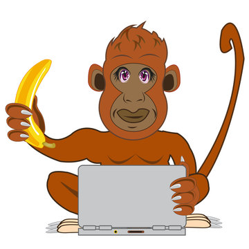 Ape with banana in hand for computer