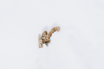 turd in the snow