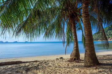 View of the tropical beach
