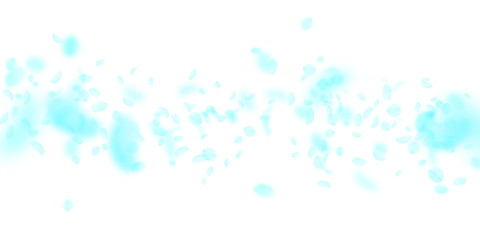 Turquoise flower petals falling down. Stylish roma