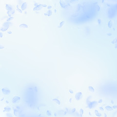Fototapeta na wymiar Light blue flower petals falling down. Likable rom