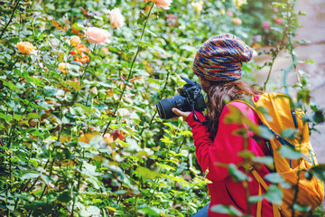 woman travel nature taking photographs in the rose garden at doi Inthanon Chiangmai in Thailand..