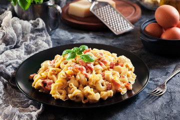 Fresh tortellini with homemade carbonara sauce