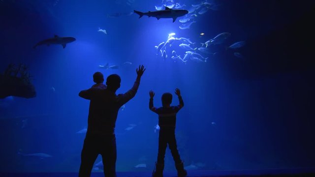 family visits the aquarium at weekend, father with two sons watching the underwater world
