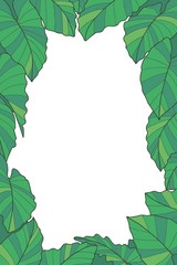 Fototapeta premium Botanical plant frame with green exotic Alocasia Macrorrhizos Giant Taro leaves on transparent background