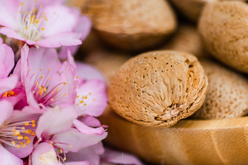Almonds (prunus dulcis) with shell on wooden bowl, and flowers, on sack surface
