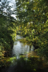 Fototapeta na wymiar small river in Germany