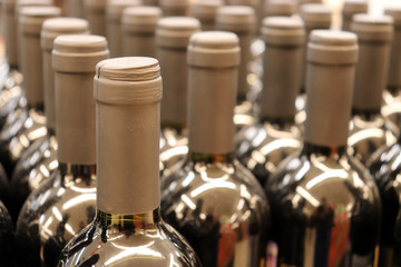 Wine bottles in a row, selective focus. Liquor store, wine production concept