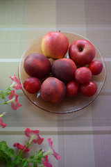 Fresh wet fruits and petunia flowers on the table. Apples, peaches, plums. Close up of group of red fruits.