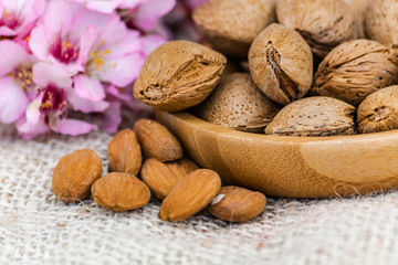 Almonds (prunus dulcis) with shell on wooden bowl, and flowers, on sack surface