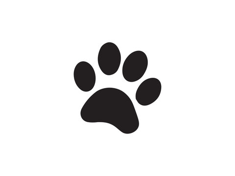cat and dog paw print vector illustration