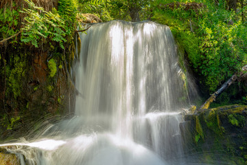 Small waterfall in the green forest