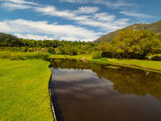Pond, meadow, flowers. Kirstenbosch Botanical Garden, suburb of Cape Town, Western Cape, South Africa.