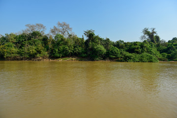 Amazonas landscape, Pantanal, Brazil