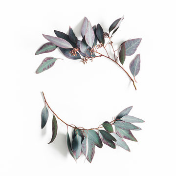 Eucalyptus leaves on white background. Wreath made of eualyptus branches. Flat lay, top view, copy space, square