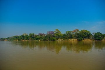 Obraz premium Amazonas landscape, Pantanal, Brazil