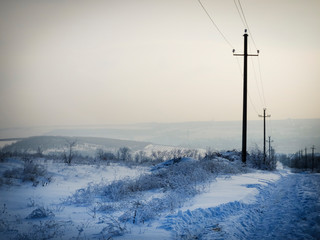 dry plants, trees, a field covered with freshly sparking snow, winter landscape