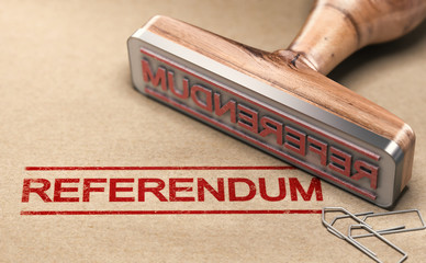 Referendum, Democratic And Direct Vote - obrazy, fototapety, plakaty
