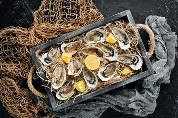 Fresh oysters with lemon in Wooden Box. On a black stone background. Top view. Free copy space. - obrazy, fototapety, plakaty