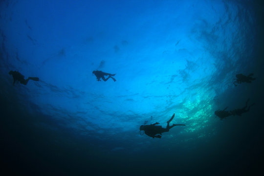 Scuba divers, fish and coral reef underwater 
