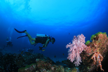 Scuba divers, fish and coral reef underwater 