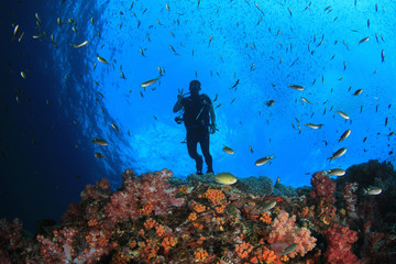 Scuba divers, fish and coral reef underwater 