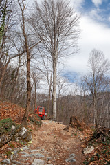 Modern tractor at work on a road in the woods