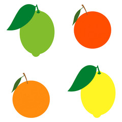 Collection of fruits on white background Mesh.