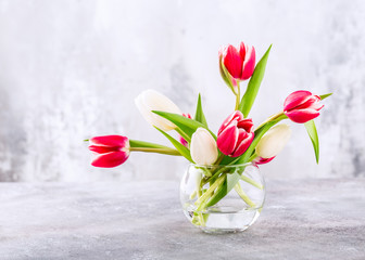 Pink and white tulips in glass vases on the light gray background. A gift for woman's day. Greeting card for mother's day. Copy space.